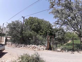 فروش باغ دوکله شهمیرزاد(با موقعیت عالی)