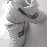 کفش کرهای 41