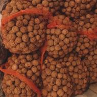 گردویی رابر