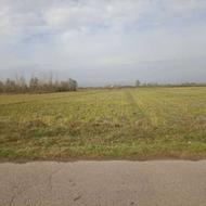 فروش زمین مسکونی 250 متر در جاده اصلی