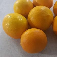 فروش لیموترش تازه چین وآبدار .تخفیف هم داره.