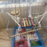 قفس طوطی سان ها