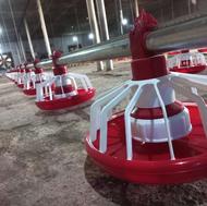 فروش آبخوری و دانخوری