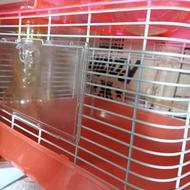 قفس همستر و موش