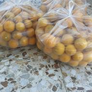 فروش پرتغال آبمیوه گیری