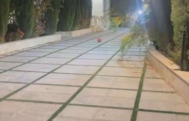 1000 متر باغ در حسین اباد شیراز جنب بستنی محمدی