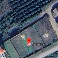 فروش زمین مسکونی 400 متر در گهر باران ساری