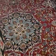 فرش شیش متری درحد نو