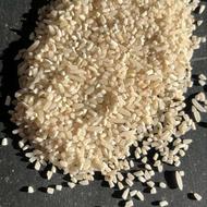 برنج هاشمی 265و لاشه 175و نیمدانه 155و فجر 174ت