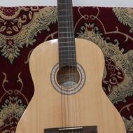 گیتار اصل هافنر آلمان