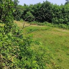 فروش زمین مسکونی 200 متر در تیسکابن