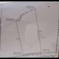 متراژ 1106 متر بافت باغات