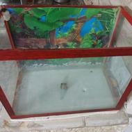 فروش آکواریوم سالم ومرتب با نوار حاشیه متوسط