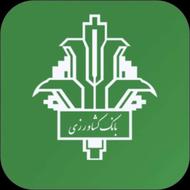 ضامن برای وام و مشارکت