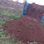 کود حیوانی؛گوسفندی، گاوی خشک، تمیزو ارگانیک