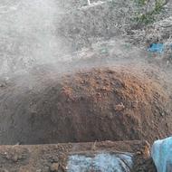 کود حیوانی؛گوسفندی، گاوی خشک، تمیزو ارگانیک