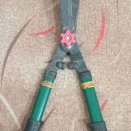 قیچی شمشاد زنی