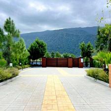 530 متر ویلای مدرن استخرد ار رو به جنگل ملکار
