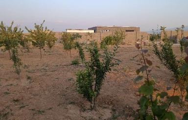 500 متر زمین کشاورزی