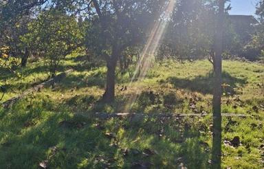 باغچه 200 متر در فیروزکنده سفلی