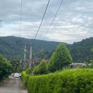 فروش زمین 255 متر در ولی آباد