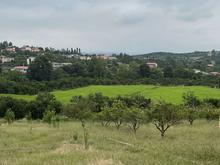 219 متر زمین جنگلی با پروانه ساخت در شیپور