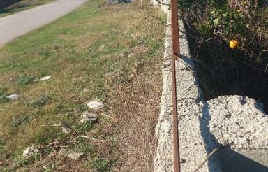 فروش زمین 1000 متر در بر اصلی روستای لیمون