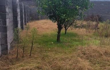 فروش زمین مسکونی 200 متر در مرکز شهر - چاف