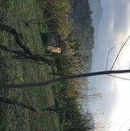 1260 متر زمین روستایی داخل بافت