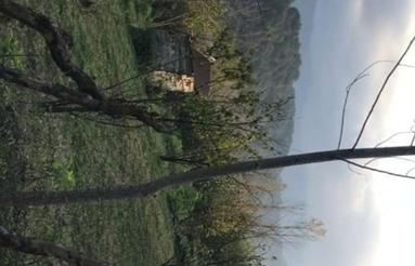 1260 متر زمین روستایی داخل بافت