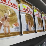 پوچ سگ وگربه رویال کنین