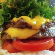 سرمایه گذاری در فست فود