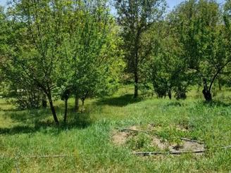 اجاره 3 هکتار زمین ابی برای پیاز دارم