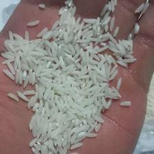 برنج طارم هاشمی