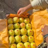 سیب درجه 1 مهاباد