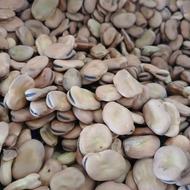 باقلا سرخس درشت و پزا بدون کرم خوردگی