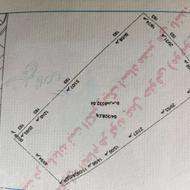 8032 متر زمین کشاورزی سند تک برگ