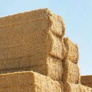 عدل کاه گندم امسالی