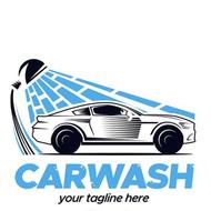 استخدام کارگر برای کارواش