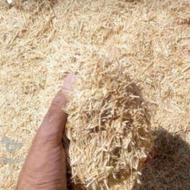 کاه گندم دیم