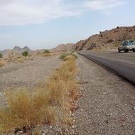 زمین فروشی سرباز سرکور اسلام اباد