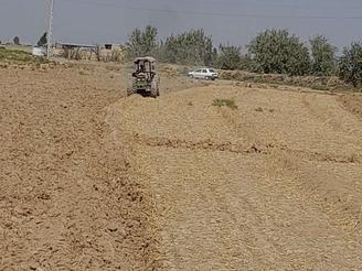 اجاره سه هکتار زمین کشاورزی واقع در جاده قرقسین ب اسفرورین