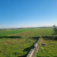 فروش زمین کشاورزی 5000 متر در چپکرود