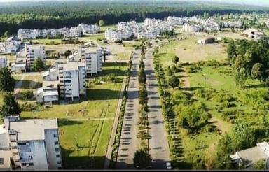 آپارتمان جنگلی