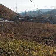 فروش زمین باغی فوری