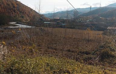 فروش زمین باغی فوری