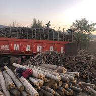 خرید و فروش انواع چوب مرکبات ...انجیر ...باغی ..صنوبر و....