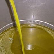 روغن زیتون بکر 670 کیلو داخل شرکت روغن کشی در طارم هستش