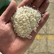 انواع برنج 100٪ ایرانی