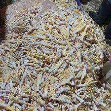 غذای سگ،پای مرغ،اسکلت